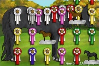 Horse Color:Black and Black Rabicano