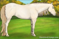 Horse Color:Smoky Blue Roan Pearl  and Smoky Blue Roan Pearl 
