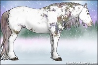 Horse Color:Nacre Liver Chestnut Ice Sabino 