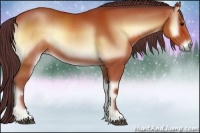 Horse Color:Chocolate Brown Onyx 