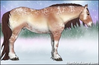 Horse Color:Chocolate Brown Ice Onyx