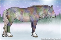 Horse Color:Nacre Silver Black Chinchilla Rabicano