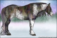 Horse Color:Nacre White Spotted Brown Ice Onyx 