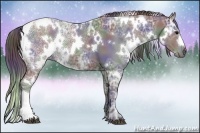 Horse Color:Nacre White Spotted Black Ice 