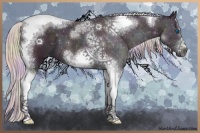 Horse Color:Nacre Watercolor White Spotted Midnight Silver Classic Cream Champagne Ice Pearl Splash Tobiano Frame 