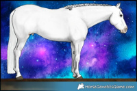 Horse Color:Watercolor White Spotted Chocolate Silver Blue Onyx Pearl Tobiano Appaloosa 