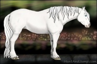 Horse Color:Silver Smoky Creme 