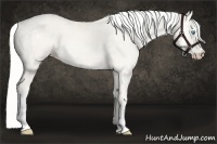 Horse Color:Silver Smoky Creme Roan 
