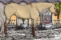 Horse Color:Silver Bay Dun 