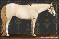 Horse Color:Gold Champagne Roan Pearl 