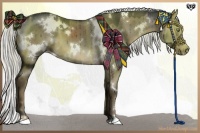 Horse Color:White Spotted Liver Red Dun 