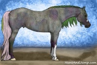 Horse Color:Watercolor Midnight Silver Blue Ice Roan  and Watercolor Midnight Smoky Grullo Ice Roan 