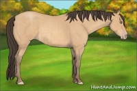 Horse Color:Amber Champagne Roan  and Amber Champagne Roan 