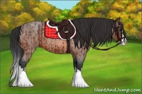 Horse Color:Bay Roan Splash  and Bay Roan Splash 