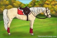 Horse Color:Palomino  and Palomino 