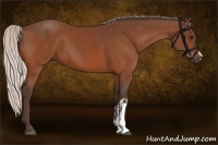 Horse Color:Silver Bay  and Silver Brown 