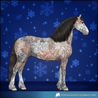 Horse Color:Black Ice  and Bay Ice 