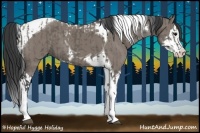 Horse Color:Grullo Splash Tobiano  and Grullo Splash Tobiano 