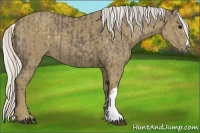 Horse Color:Silver Black  and Silver Smoky Black 