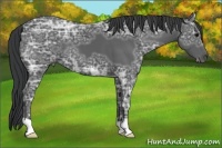 Horse Color:Black Ice 