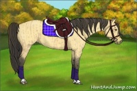 Horse Color:Buckskin Dun  and Buckskin Dun 
