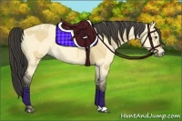 Horse Color:Buckskin Dun and Buckskin Roan Dun