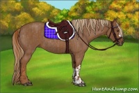 Horse Color:Red Roan  and Chestnut 