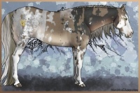 Horse Color:White Spotted Liver Red Dun Sabino Brindle  and White Spotted Liver Chestnut Sabino Splash