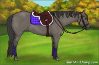 Horse Color:Smoky Grullo 