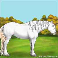 Horse Color:White Spotted Amber Cream Champagne Splash Varnish 