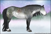 Horse Color:Buckskin Chinchilla Sabino Rabicano