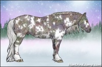 Horse Color:Nacre White Spotted Chocolate Silver Black Chinchilla Ice Rabicano