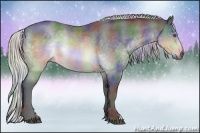 Horse Color:Nacre Silver Brown Chinchilla Rabicano