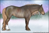 Horse Color:Liver Chestnut Rabicano