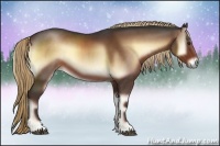 Horse Color:Liver Red Onyx Sabino 