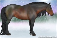 Horse Color:Brown Rabicano 