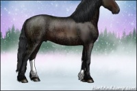 Horse Color:Brown Ice Rabicano