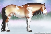 Horse Color:Bay Onyx Sabino Rabicano 