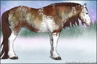 Horse Color:White Spotted Chocolate Brown Ice Onyx Sabino Rabicano