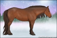 Horse Color:Liver Chestnut 