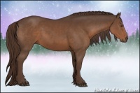 Horse Color:Liver Chestnut
