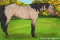 Horse Color:Brown Roan Dun 
