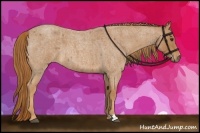 Horse Color:Red Roan  and Red Roan 