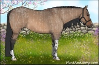 Horse Color:Bay Roan Dun  and Bay Roan Dun 