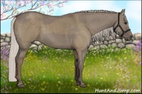 Horse Color:Silver Grullo  and Silver Grullo 