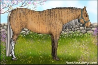 Horse Color:Buckskin  and Silver Buckskin 