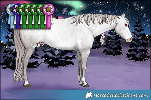 Horse Color:White Spotted Chocolate Brown Chinchilla Pearl Sabino 