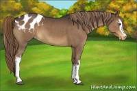 Horse Color:White Spotted Liver Red Roan Varnish 