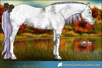Horse Color:Painted Silver Brown Roan Dun Splash Tobiano Blanket and Painted White Spotted Silver Grullo Snowflake Varnish