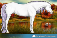 Horse Color:Painted Silver Brown Roan Dun Splash Tobiano Appaloosa  and Painted White Spotted Silver Grullo Appaloosa 